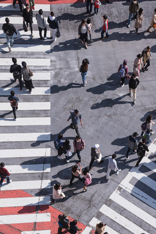Unraveling the Chaos: Exploring the Shibuya Incident in Jujutsu Kaisen - audittesting
